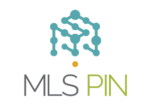 MLS PIN (3)